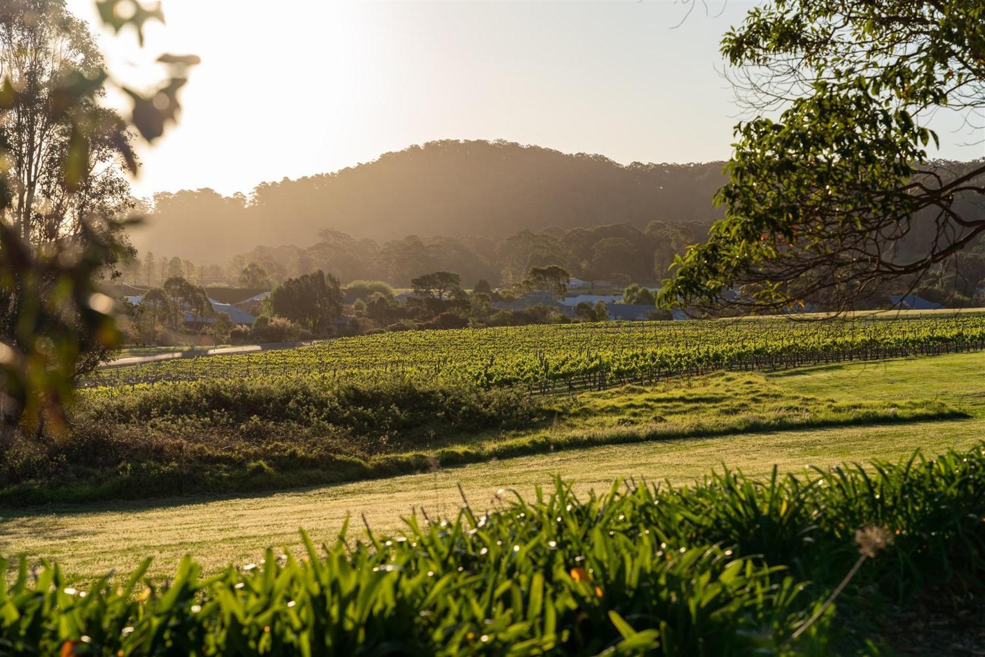 Coolangatta Estate Shoalhaven Heads Motel Ngoại thất bức ảnh